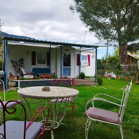 Villa Ardilla Ла-Адрада Экстерьер фото
